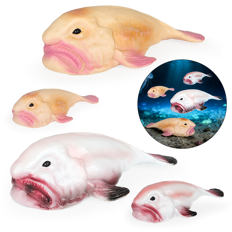 Kids Education In Australia - Oenux Australia peces de aguas profundas