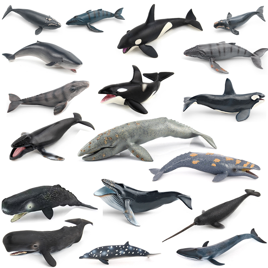 Free Educational Games For Kids - Figuras de Acción Realistas de Animales