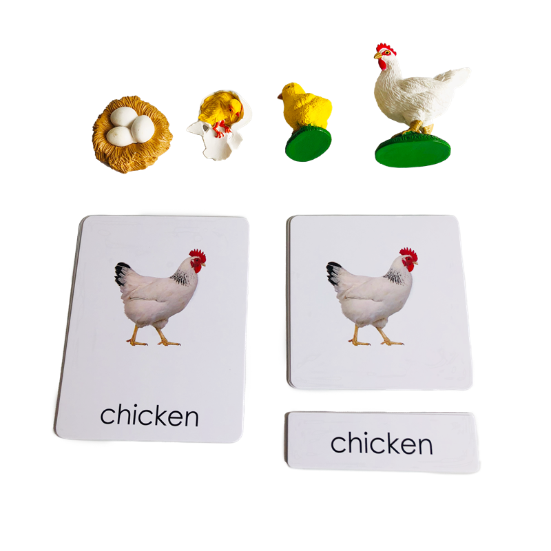 Kids Education Card - Tarjetas y modelos de animales del