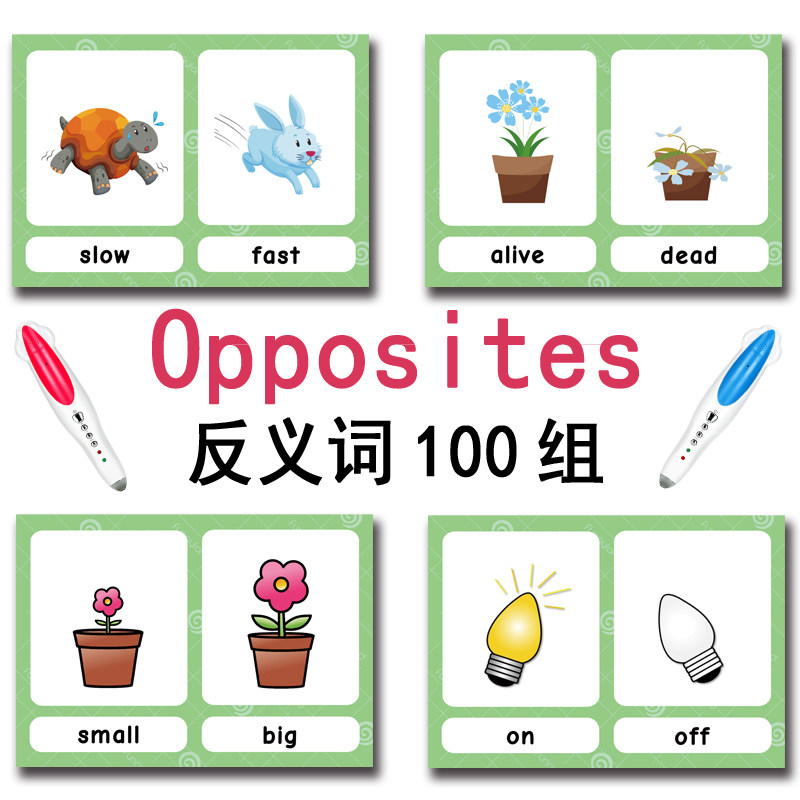Tarjetas de memoria con 100 gr - Free Educational Games For Kids reseña y precio