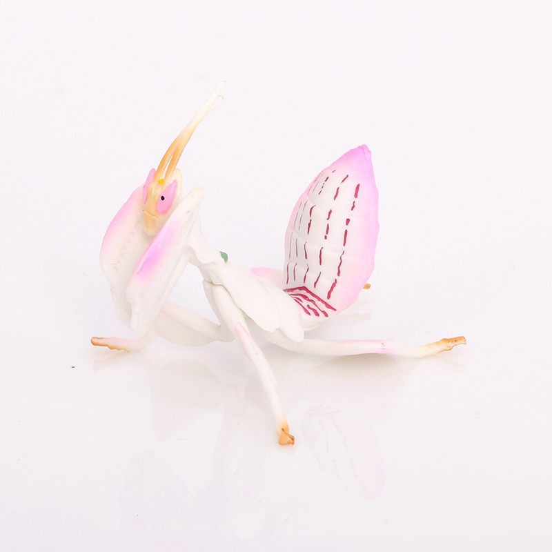 Modelo de juguete Animal reali - Orchid Kids Education reseña y precio