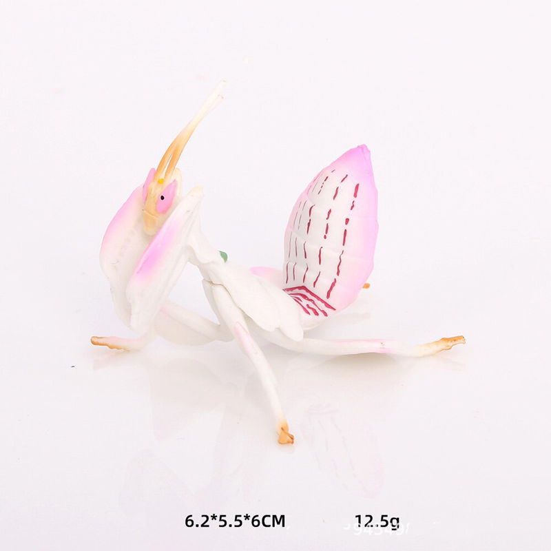 Modelo de juguete Animal reali - Orchid Kids Education reseña y precio