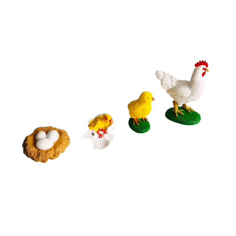 Tarjetas y modelos de animales - Kids Education Card reseña y precio