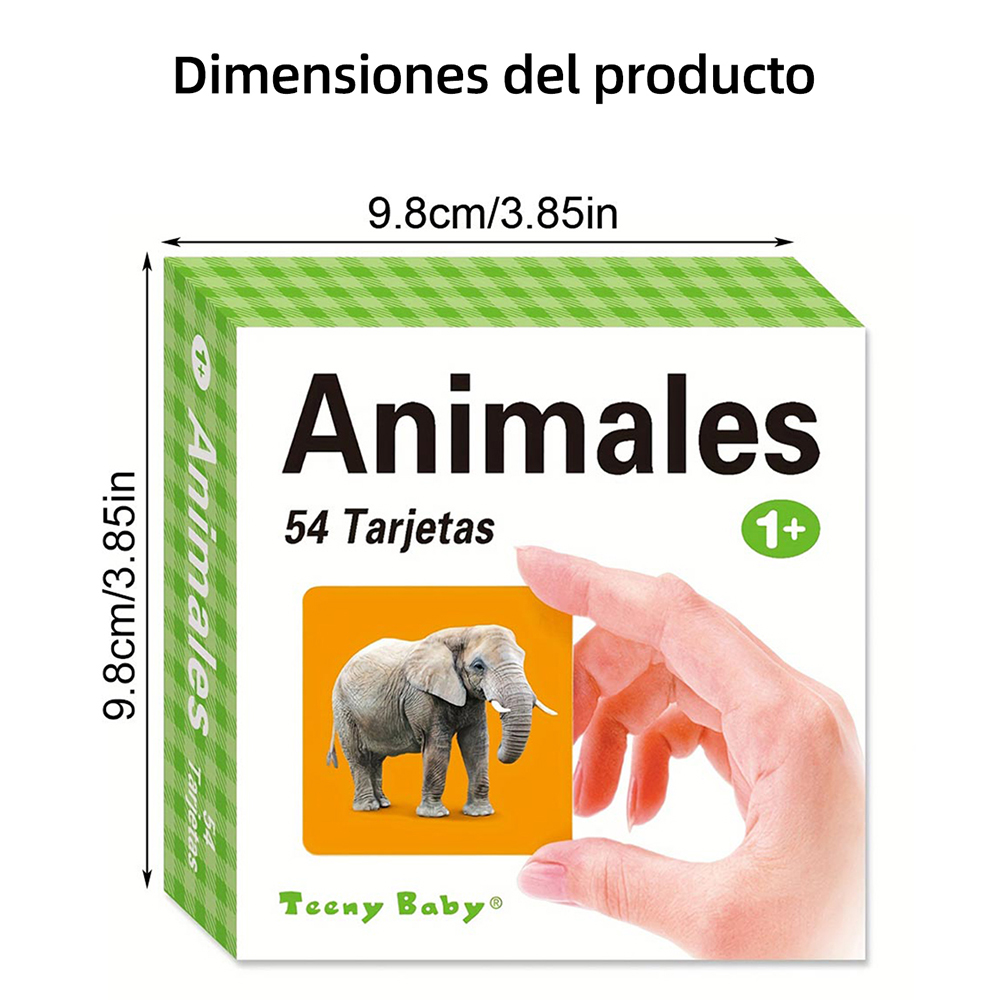 Diferentes tipos de tarjetas d - Kids Education Card reseña y precio
