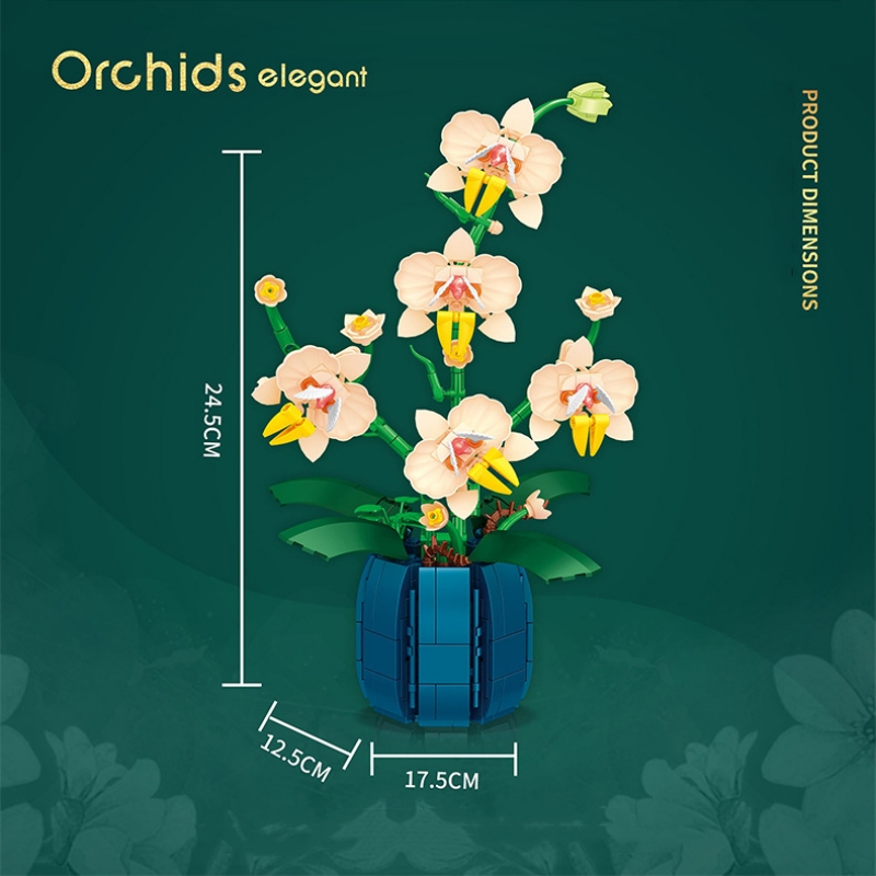 Ramo de orquídeas en maceta, j - Orchid Kids Education reseña y precio